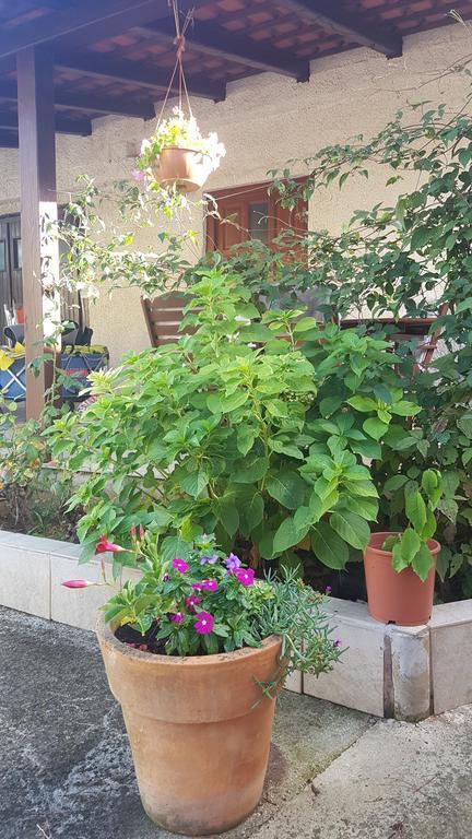 Apartment Ecio Банджоле Экстерьер фото